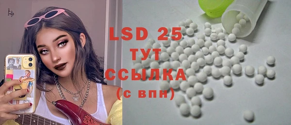 индика Алзамай