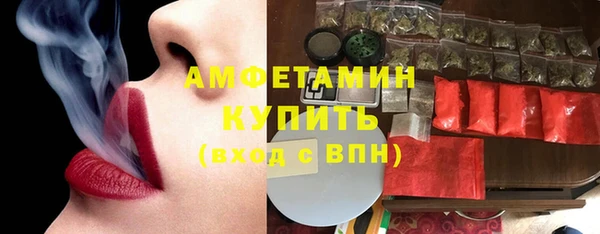 индика Алзамай