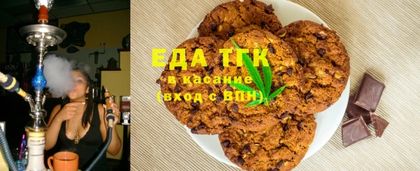 индика Алзамай