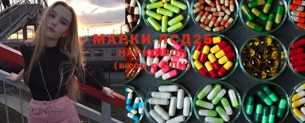 индика Алзамай
