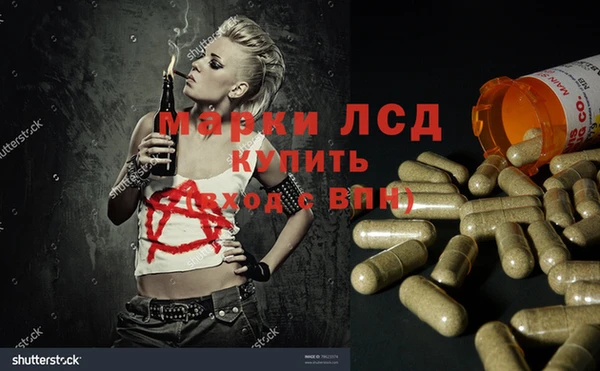 индика Алзамай