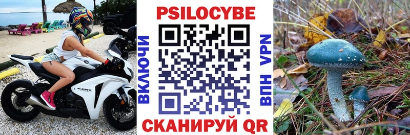 Галлюциногенные грибы Psilocybine cubensis  где найти   Белебей 